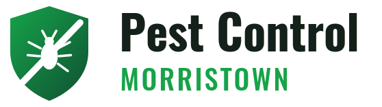Morristown Pest Control